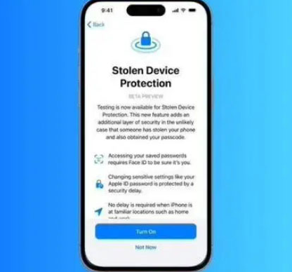 隆安苹果授权维修店分享被盗设备保护功能开启方法 