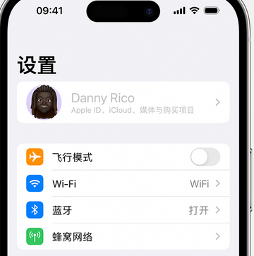 隆安appleID维修服务iPhone设置中Apple ID显示为灰色无法使用