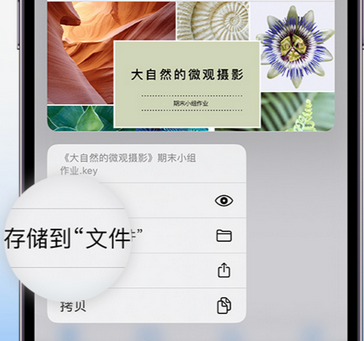 隆安apple维修中心分享iPhone文件应用中存储和找到下载文件