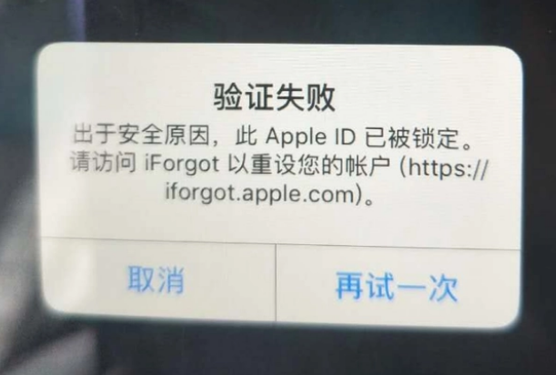 隆安iPhone维修分享iPhone上正常登录或使用AppleID怎么办 