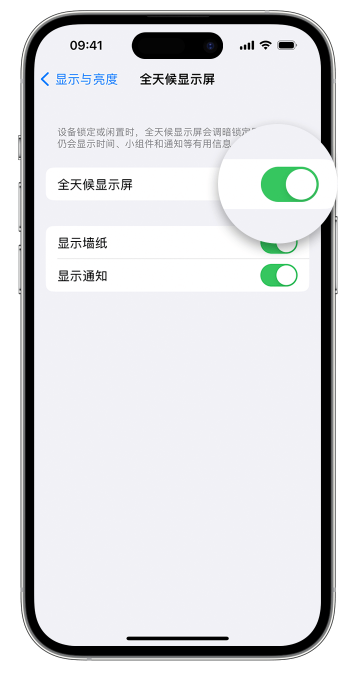 隆安苹果14维修店分享如何自定义 iPhone 14 Pro 常亮显示屏 