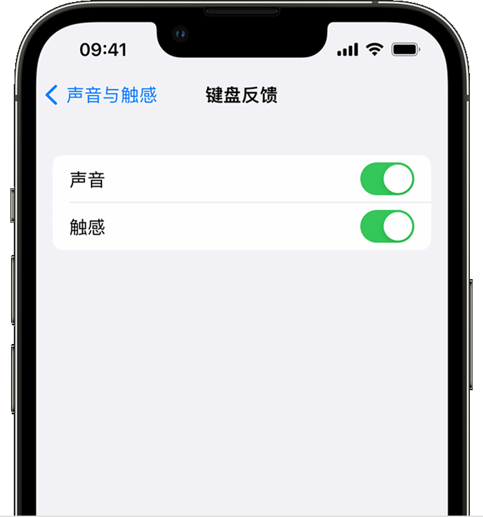 隆安苹果14维修店分享如何在 iPhone 14 机型中使用触感键盘 