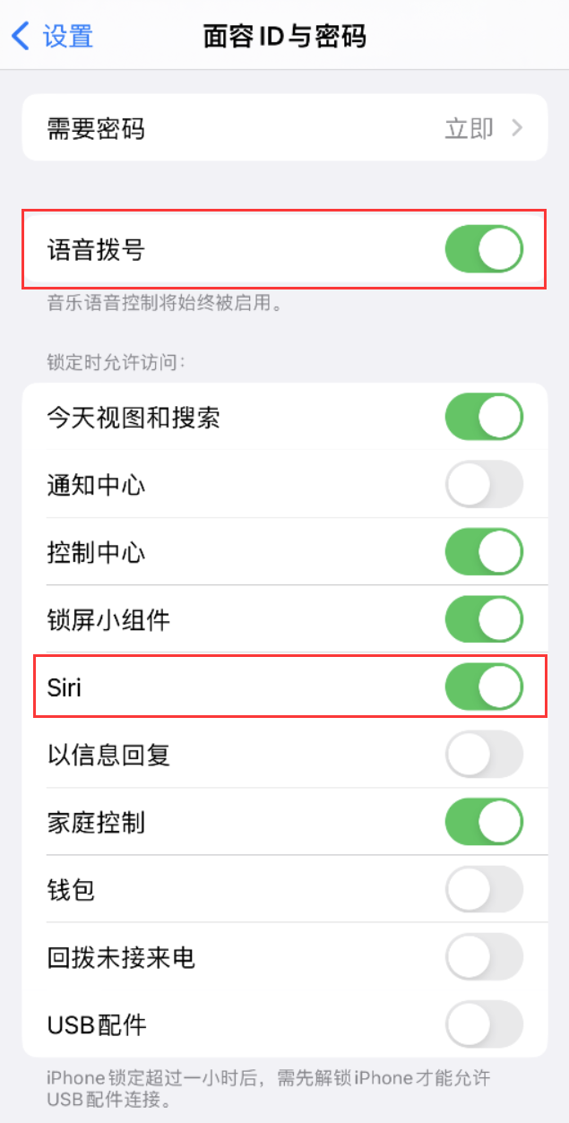 隆安苹果维修网点分享不解锁 iPhone 的情况下通过 Siri 拨打电话的方法 