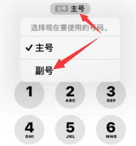 隆安苹果14维修店分享iPhone 14 Pro Max使用副卡打电话的方法 