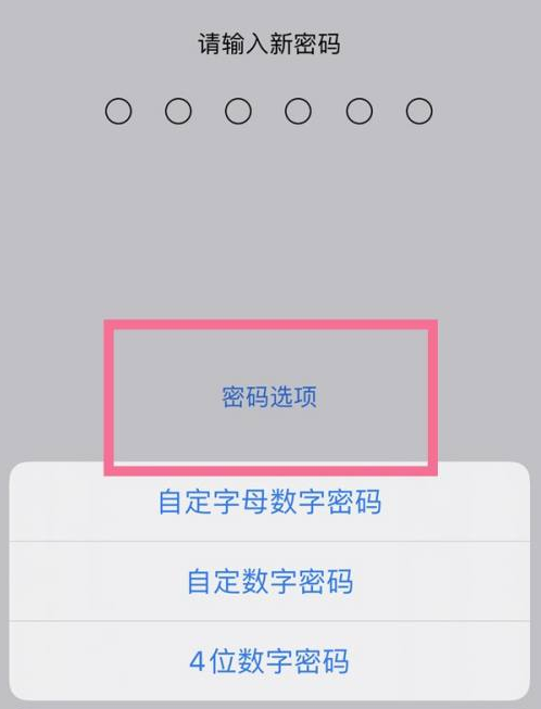 隆安苹果14维修分享iPhone 14plus设置密码的方法 