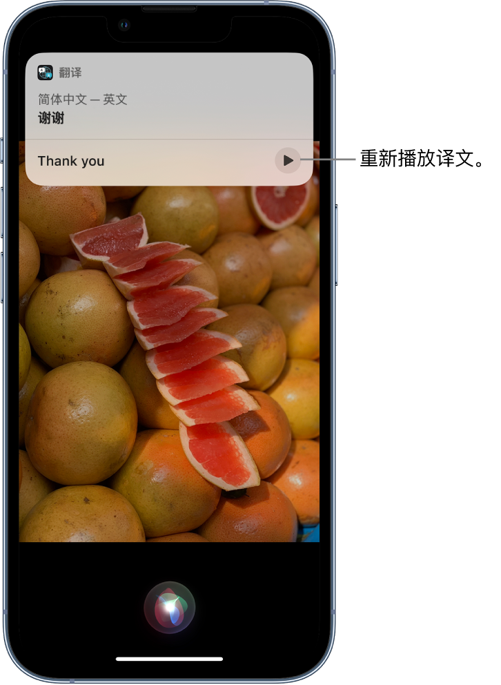 隆安苹果14维修分享 iPhone 14 机型中使用 Siri：了解 Siri 能帮你做什么 