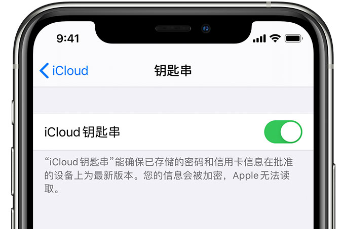 隆安苹果手机维修分享在 iPhone 上开启 iCloud 钥匙串之后会储存哪些信息 