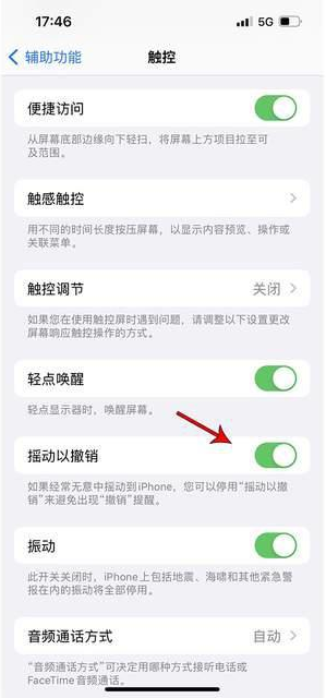 隆安苹果手机维修分享iPhone手机如何设置摇一摇删除文字 